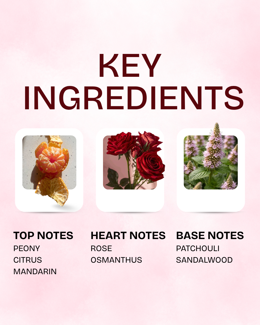 Fiori Belle — Rare Floral Elixir 100ml